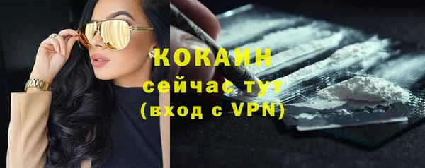 ГАЛЛЮЦИНОГЕННЫЕ ГРИБЫ Абаза