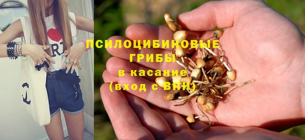 ГАЛЛЮЦИНОГЕННЫЕ ГРИБЫ Абаза
